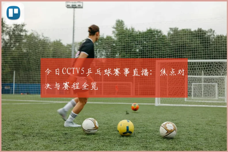 今日CCTV5乒乓球赛事直播：焦点对决与赛程全览