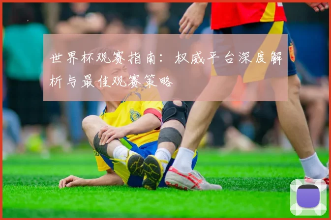 世界杯观赛指南:权威平台深度解析与最佳观赛策略