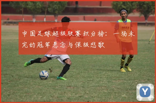 中国足球超级联赛积分榜:一场未完的冠军悬念与保级悲歌