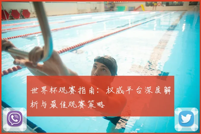 世界杯观赛指南:权威平台深度解析与最佳观赛策略